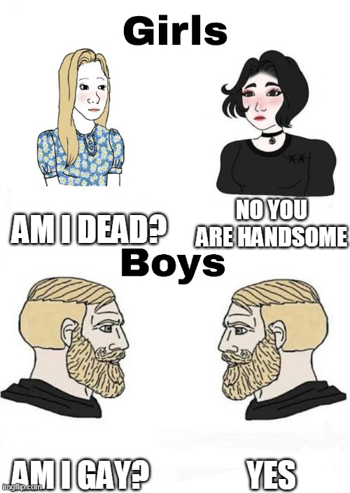 girls vs boys | AM I DEAD? NO YOU ARE HANDSOME; YES; AM I GAY? | image tagged in girls vs boys | made w/ Imgflip meme maker