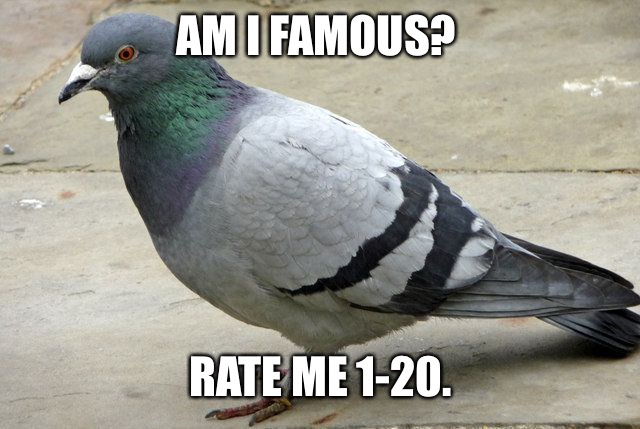 See reasons in comments | AM I FAMOUS? RATE ME 1-20. | image tagged in popular opinion pidgeon | made w/ Imgflip meme maker