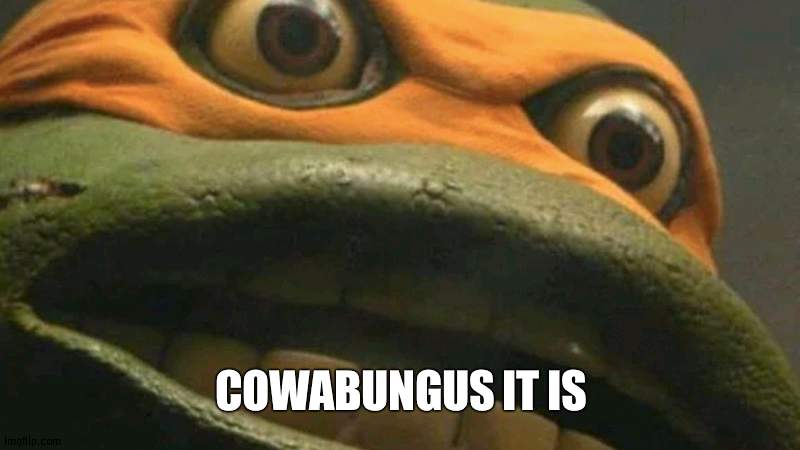 Cowabunga it is, but it's actually blank. | COWABUNGUS IT IS | image tagged in cowabunga it is but it's actually blank | made w/ Imgflip meme maker