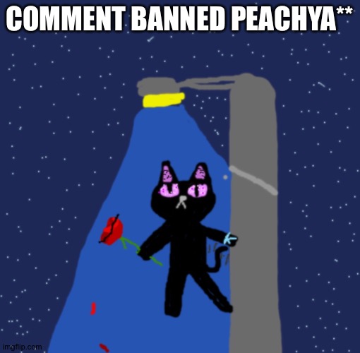 Night Flake (Blaziken's OC) | COMMENT BANNED PEACHYA** | image tagged in night flake blaziken's oc | made w/ Imgflip meme maker