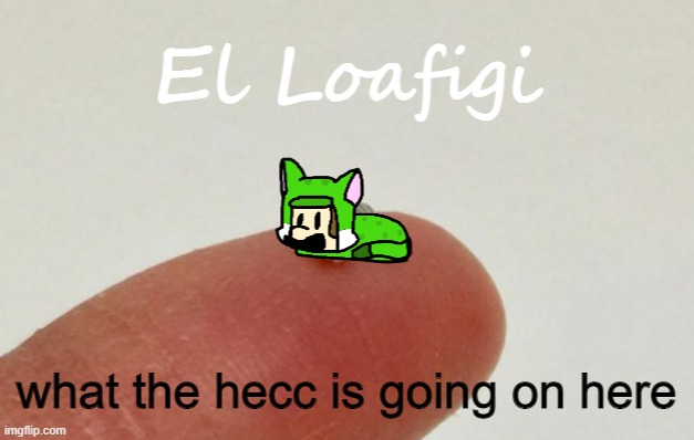 tf is going on | what the hecc is going on here | image tagged in el loafigi | made w/ Imgflip meme maker