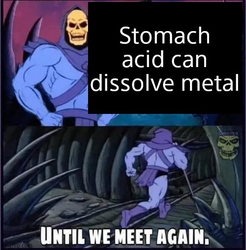 I got this fact off a random facts article  on a website | Stomach acid can dissolve metal | image tagged in until we meet again | made w/ Imgflip meme maker