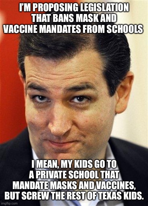 Bashful Ted Cruz | I’M PROPOSING LEGISLATION THAT BANS MASK AND VACCINE MANDATES FROM SCHOOLS; I MEAN, MY KIDS GO TO A PRIVATE SCHOOL THAT MANDATE MASKS AND VACCINES, BUT SCREW THE REST OF TEXAS KIDS. | image tagged in bashful ted cruz | made w/ Imgflip meme maker