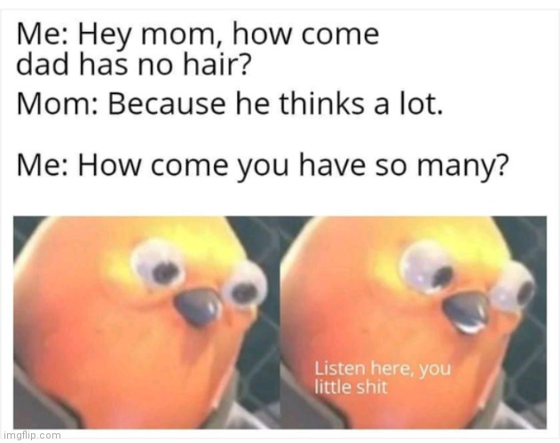 image tagged in listen here you little shit bird,funny,memes,oh wow are you actually reading these tags | made w/ Imgflip meme maker