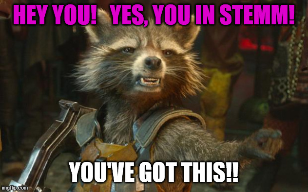 Women in STEMM | HEY YOU!   YES, YOU IN STEMM! YOU'VE GOT THIS!! | image tagged in rocket raccoon | made w/ Imgflip meme maker