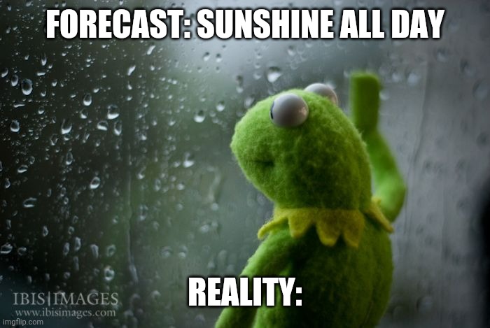 Sunshine | FORECAST: SUNSHINE ALL DAY; REALITY: | image tagged in kermit window | made w/ Imgflip meme maker