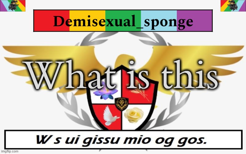 PPolice Template | What is this | image tagged in ppolice template,demisexual_sponge | made w/ Imgflip meme maker