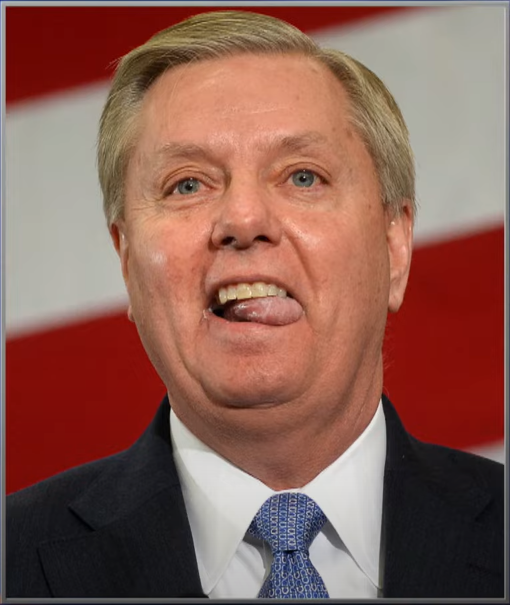 High Quality Lindsey Derp Blank Meme Template