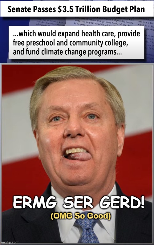 Got a new Template for Lindsey.... | ERMG SER GERD! (OMG So Good) | image tagged in lindsey derp,lindsey graham,republican,maga,trump | made w/ Imgflip meme maker