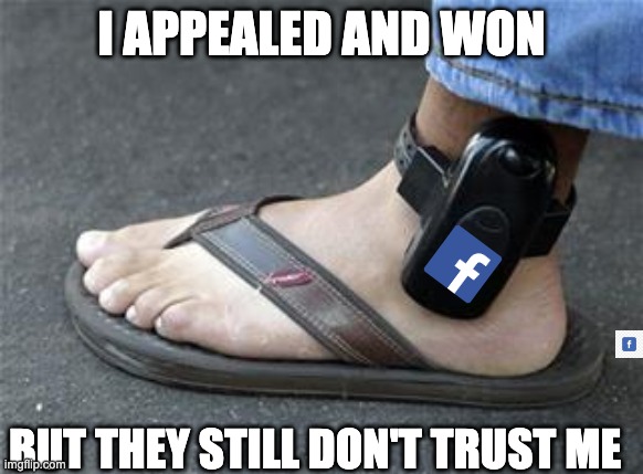 Facebook Jail |  I APPEALED AND WON; BUT THEY STILL DON'T TRUST ME | image tagged in ankle bracelet,facebook,jail,facebook jail | made w/ Imgflip meme maker