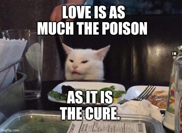 Salad cat | LOVE IS AS MUCH THE POISON; AS IT IS THE CURE. J M | image tagged in salad cat | made w/ Imgflip meme maker