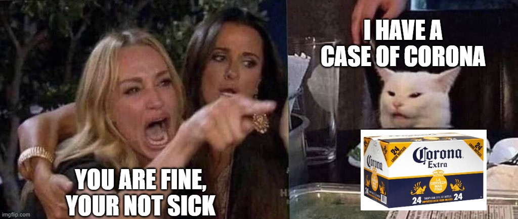 mmmm | I HAVE A CASE OF CORONA; YOU ARE FINE, YOUR NOT SICK | image tagged in woman yelling at cat | made w/ Imgflip meme maker