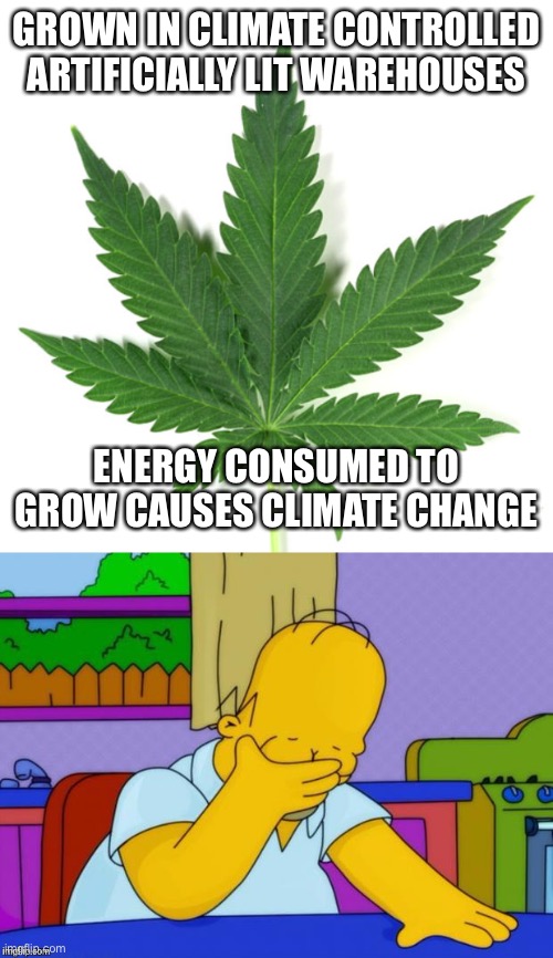 Pot is not GREEN | GROWN IN CLIMATE CONTROLLED ARTIFICIALLY LIT WAREHOUSES; ENERGY CONSUMED TO GROW CAUSES CLIMATE CHANGE | image tagged in marijuana leaf,irony,massive energy consumption,climate change | made w/ Imgflip meme maker