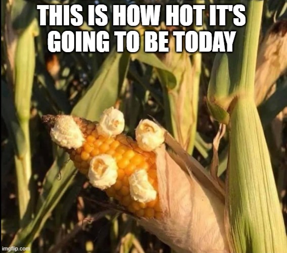 popcorn | THIS IS HOW HOT IT'S 
GOING TO BE TODAY | image tagged in heat,hot,weather,hot weather | made w/ Imgflip meme maker