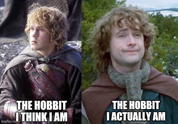 Inside Each of Us Are Two Hobbits | THE HOBBIT I ACTUALLY AM; THE HOBBIT I THINK I AM | image tagged in merry and pippin,hobbits | made w/ Imgflip meme maker