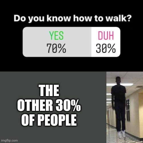 the other 30% of people... | THE OTHER 30% OF PEOPLE | image tagged in floating boy chasing running boy | made w/ Imgflip meme maker