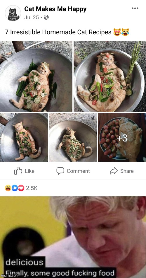 Yummy and cute! The perfect food | image tagged in gordon ramsay some good food,cat | made w/ Imgflip meme maker