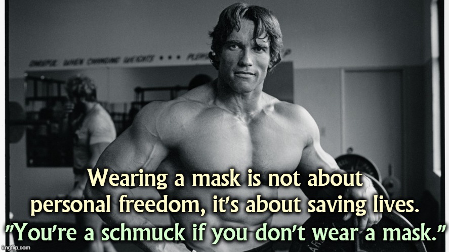 Consider the strength and sacrifice of the people who built this country. A mask over your nose and mouth isn't much.. | Wearing a mask is not about personal freedom, it's about saving lives. "You're a schmuck if you don't wear a mask." | image tagged in arnold schwarzenegger,mask,anti vax,fool | made w/ Imgflip meme maker