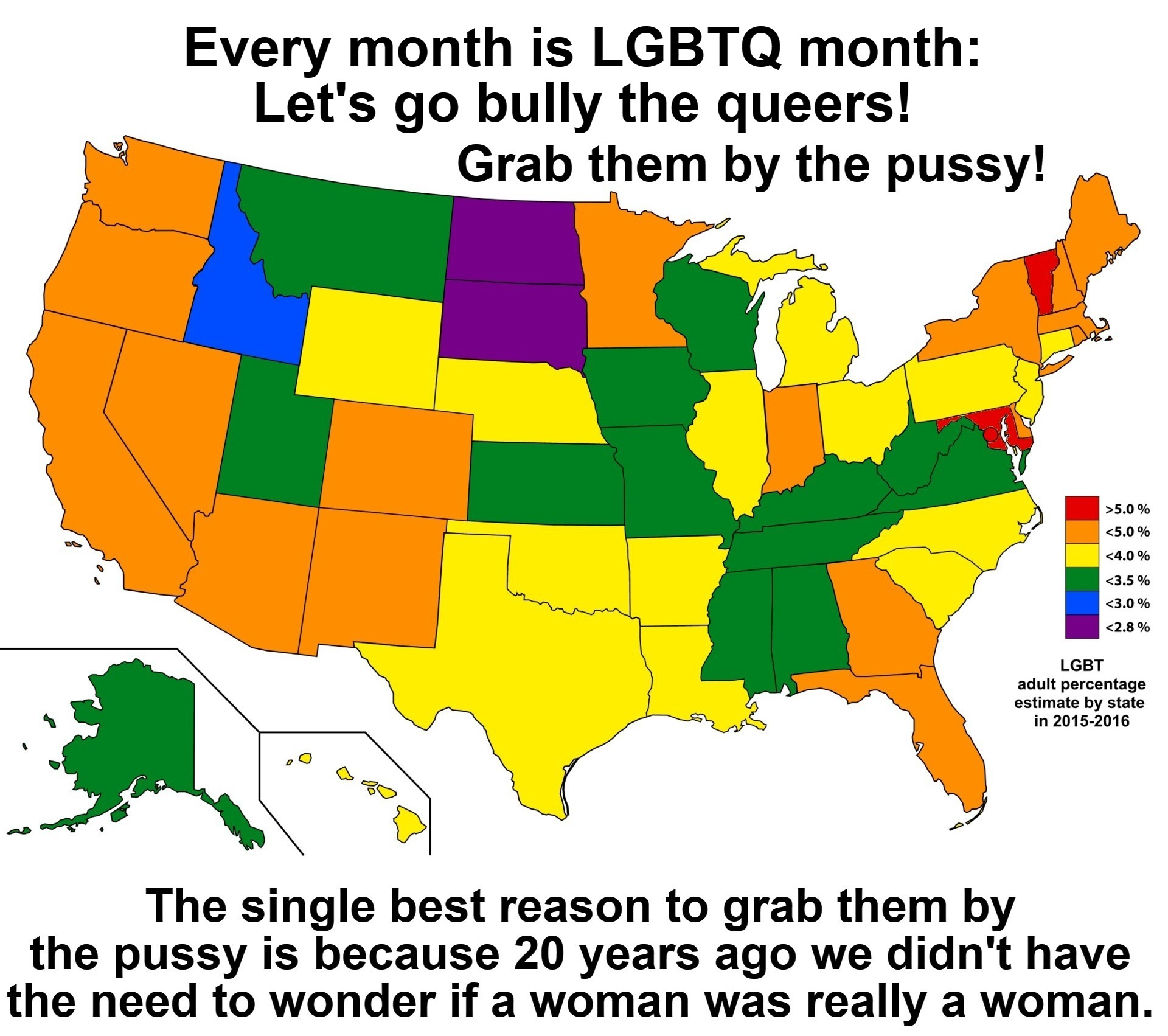 Every month is LGBTQ month. | Every month is LGBTQ month: Let's go bully the queers! | image tagged in lgbtq month,lets go bully the queers,grab them by the pussy,trump grabs that pussy,tired of hearing about transgenders | made w/ Imgflip meme maker