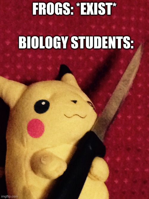 shanky shanky | BIOLOGY STUDENTS:; FROGS: *EXIST* | image tagged in pikachu learned stab | made w/ Imgflip meme maker