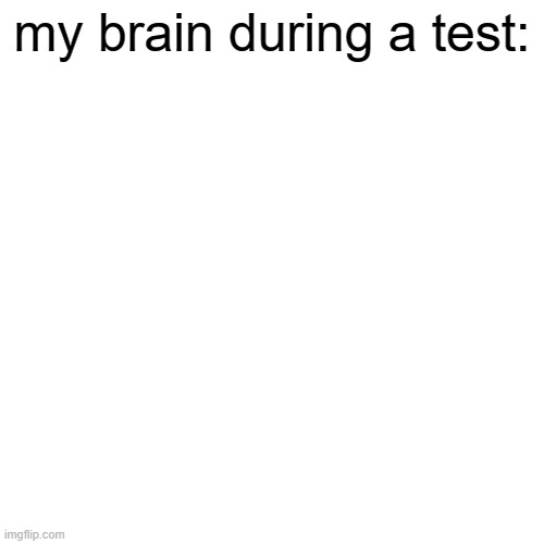 free epic horneburger apples | my brain during a test: | image tagged in memes,blank transparent square | made w/ Imgflip meme maker