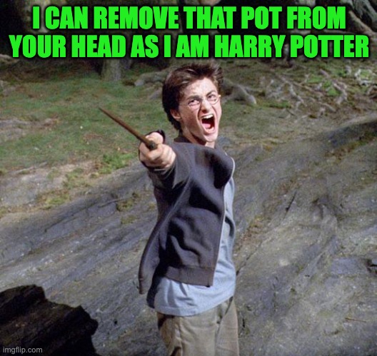 Harry potter | I CAN REMOVE THAT POT FROM YOUR HEAD AS I AM HARRY POTTER | image tagged in harry potter | made w/ Imgflip meme maker