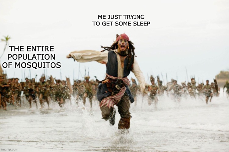 ME JUST TRYING TO GET SOME SLEEP THE ENTIRE POPULATION OF MOSQUITOS | image tagged in run away | made w/ Imgflip meme maker