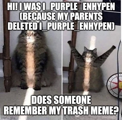 I'm back to imgflip | HI! I WAS I_PURPLE_ENHYPEN (BECAUSE MY PARENTS DELETED I_PURPLE_ENHYPEN); DOES SOMEONE REMEMBER MY TRASH MEME? | image tagged in cat god | made w/ Imgflip meme maker