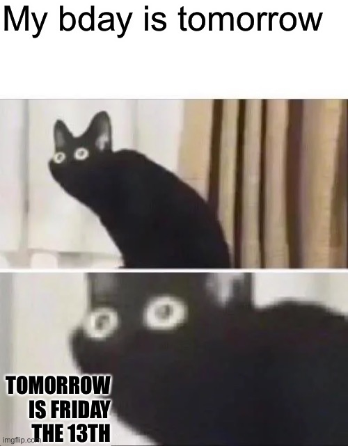I’m not joking- my bday is tomorrow | My bday is tomorrow; TOMORROW IS FRIDAY THE 13TH | image tagged in oh no black cat,birthday,yay,scary,scared cat | made w/ Imgflip meme maker