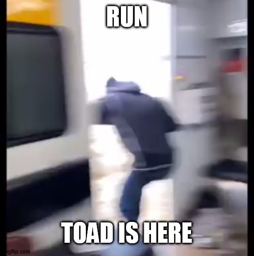 He's like a flashbang but so much worse | RUN; TOAD IS HERE | image tagged in memes | made w/ Imgflip meme maker