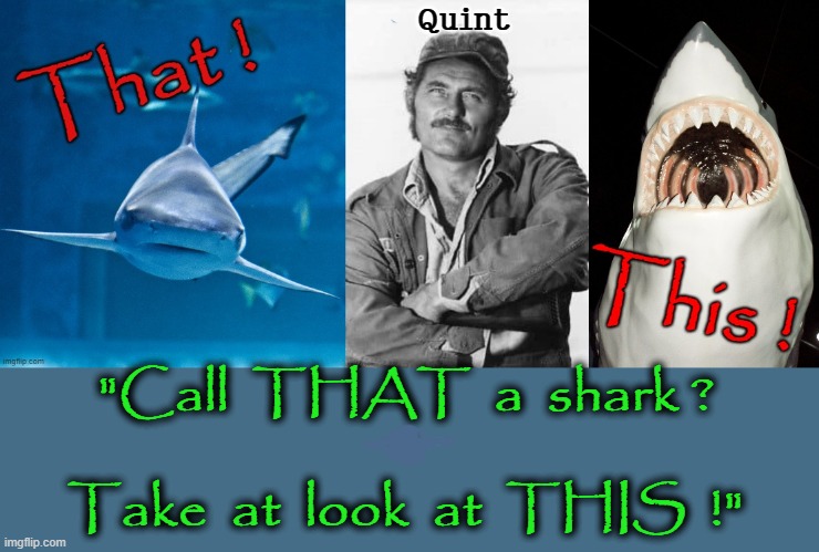 "Call that a shark ?" | Quint; "Call  THAT  a  shark ?
*
Take  at  look  at  THIS  !" | image tagged in quint | made w/ Imgflip meme maker