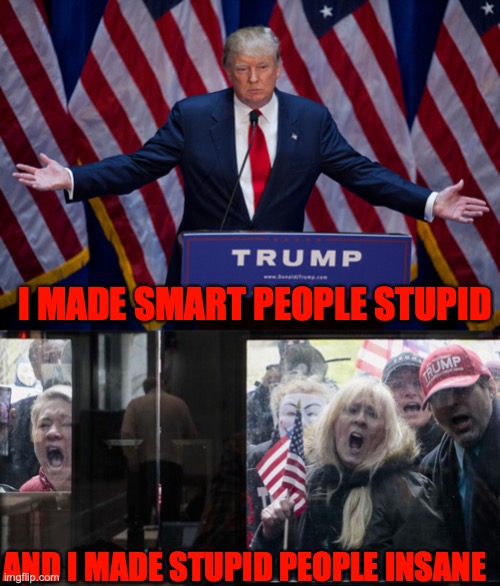 I MADE SMART PEOPLE STUPID; AND I MADE STUPID PEOPLE INSANE | image tagged in donald trump,trump michigan protesters | made w/ Imgflip meme maker