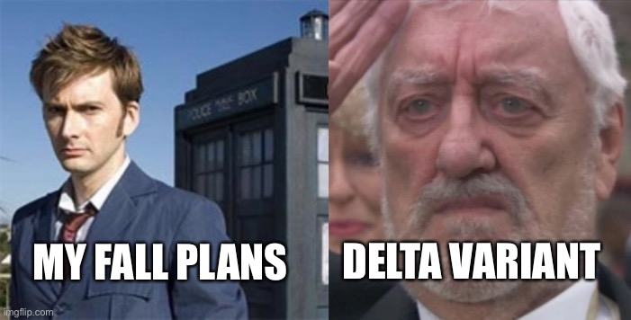 Fall plans four knocks | DELTA VARIANT; MY FALL PLANS | image tagged in covid-19 | made w/ Imgflip meme maker