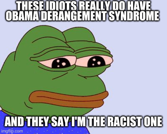 Just a green impartial observer | THESE IDIOTS REALLY DO HAVE
OBAMA DERANGEMENT SYNDROME AND THEY SAY I'M THE RACIST ONE | image tagged in pepe the frog | made w/ Imgflip meme maker