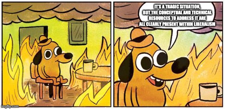 This is Fine (Blank) | IT’S A TRAGIC SITUATION, BUT THE CONCEPTUAL AND TECHNICAL RESOURCES TO ADDRESS IT ARE ALL CLEARLY PRESENT WITHIN LIBERALISM | image tagged in this is fine blank | made w/ Imgflip meme maker