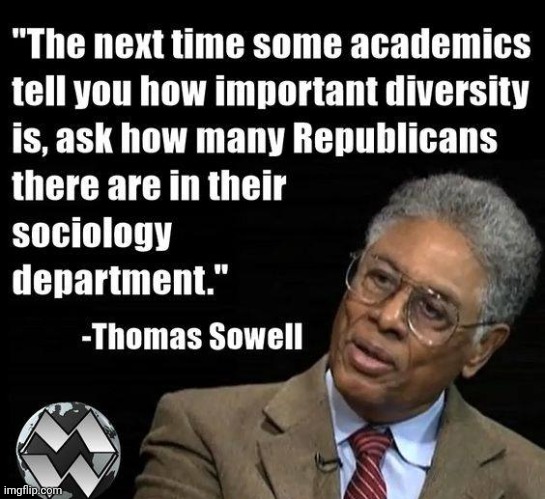 Sowell | image tagged in sowell | made w/ Imgflip meme maker