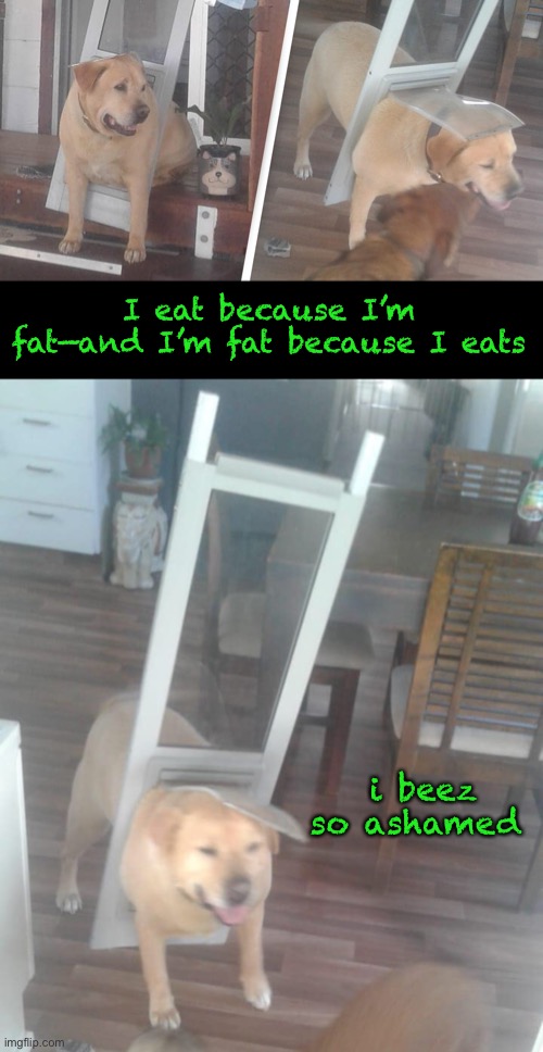 I eat because I’m fat—and I’m fat because I eats i beez so ashamed | made w/ Imgflip meme maker