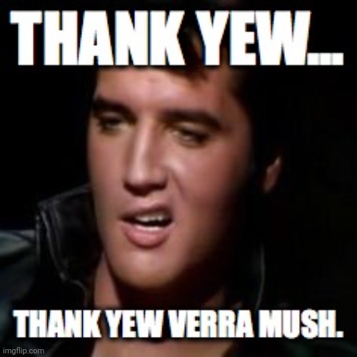 Elvis Thanks You | image tagged in elvis thanks you | made w/ Imgflip meme maker