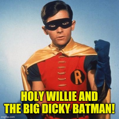 Robin | HOLY WILLIE AND THE BIG DICKY BATMAN! | image tagged in robin | made w/ Imgflip meme maker