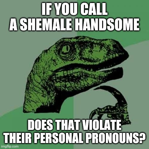 Philosoraptor | IF YOU CALL A SHEMALE HANDSOME; DOES THAT VIOLATE THEIR PERSONAL PRONOUNS? | image tagged in memes,philosoraptor | made w/ Imgflip meme maker