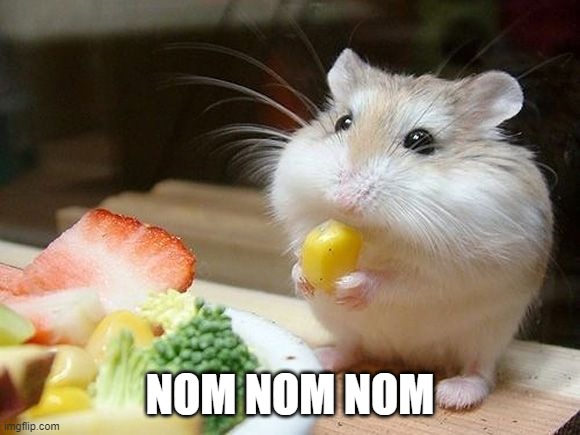 NOM NOM NOM | NOM NOM NOM | image tagged in nom nom nom | made w/ Imgflip meme maker