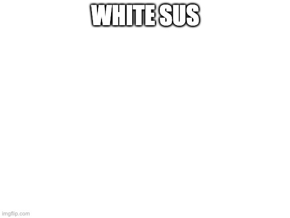 White kinda sussy | WHITE SUS | image tagged in blank white template | made w/ Imgflip meme maker