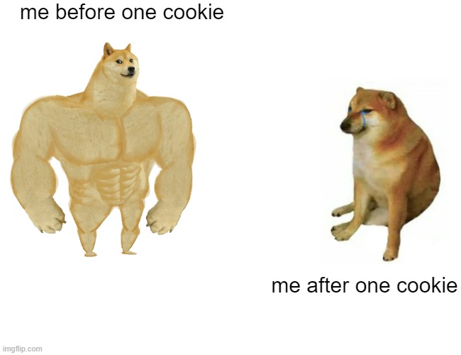 -_- | me before one cookie; me after one cookie | image tagged in memes,buff doge vs cheems | made w/ Imgflip meme maker