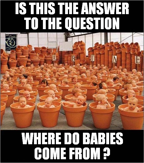 It's A Brave New World Out There ! | IS THIS THE ANSWER
TO THE QUESTION; WHERE DO BABIES
COME FROM ? | image tagged in facts of life,production,babies,brave new world | made w/ Imgflip meme maker