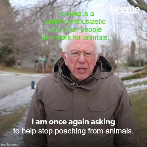 pls save wildlife animals :( | me who is a wildlife enthusiastic and other people who work for animals:; to help stop poaching from animals. | image tagged in memes,bernie i am once again asking for your support,save,wildlife | made w/ Imgflip meme maker
