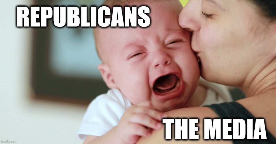 Coddle Those Babies | REPUBLICANS; THE MEDIA | image tagged in gop,repoublicans,media,news,fail,eleection | made w/ Imgflip meme maker