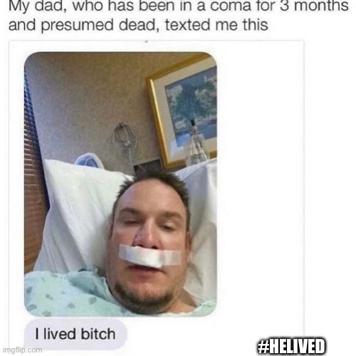 He lived | #HELIVED | image tagged in funny,funny memes,memes,dark humor,cursed,dark | made w/ Imgflip meme maker