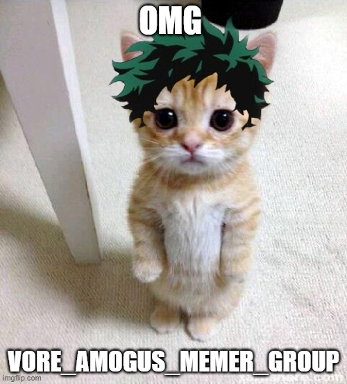 deku cat | OMG; VORE_AMOGUS_MEMER_GROUP | image tagged in deku cat | made w/ Imgflip meme maker