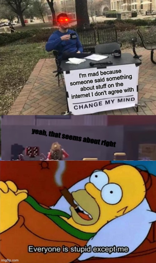 I'm mad because someone said something about stuff on the internet I don't agree with | image tagged in memes,change my mind,everyone is stupid except me | made w/ Imgflip meme maker