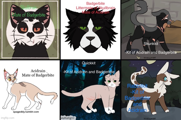 Badgerbite and Skullbrain are Warriors, Acidrain is a queen, and the three kids are less than a moon old | made w/ Imgflip meme maker
